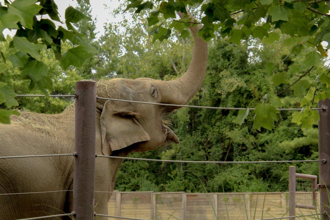 Remote PostgreSQL DB on Ubuntu (EC2) not connecting